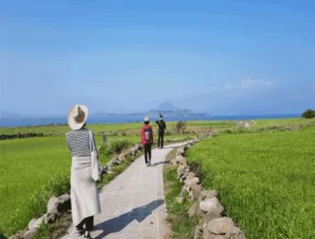 [추천] 제주도 3박 4일 패키지 [베스트]