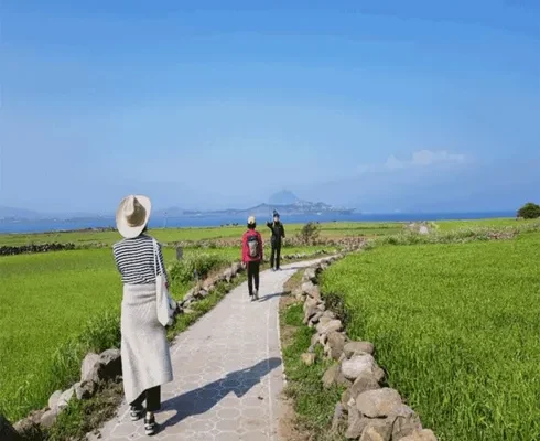 [추천] 제주도 3박 4일 패키지 [베스트]