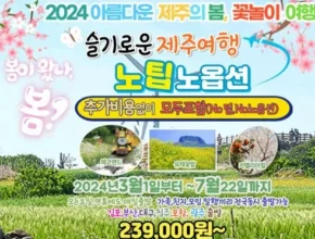 [추천] 제주도 여행 3박4일 [베스트]