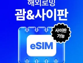 [추천] 사이판 [베스트]