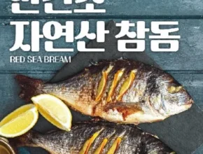 [추천]  국내산 반건조 참돔 300g7마리 [베스트]