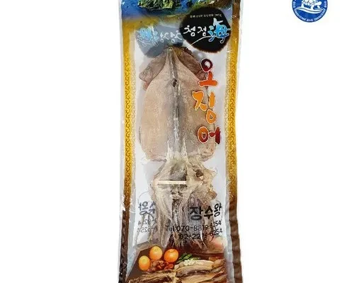 [후회없는 선택] 마른오징어  50g x 10마리 [Good]