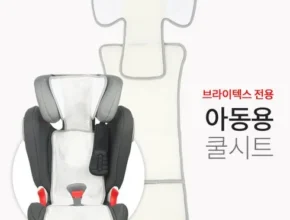 [추천] 브라이텍스카시트신생아 [베스트]