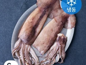 [후회없는 선택] 손질통오징어 특대 150g16마리 [베스트]